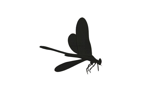 Black Bug Dragonfly