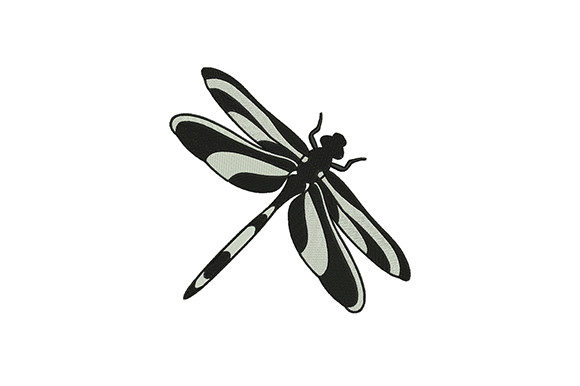 Colore Black Dragonfly: A Designer’s Sweatshirt Review