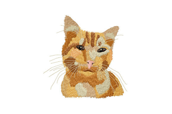 Cute Ginger Cat: A Craft Fair Embroidery Review